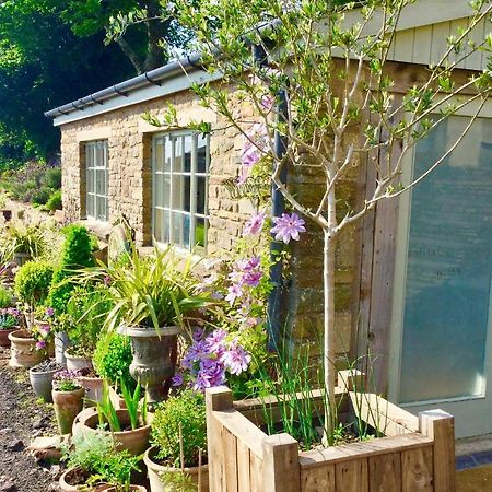 Lavender Cottage Глостър Екстериор снимка