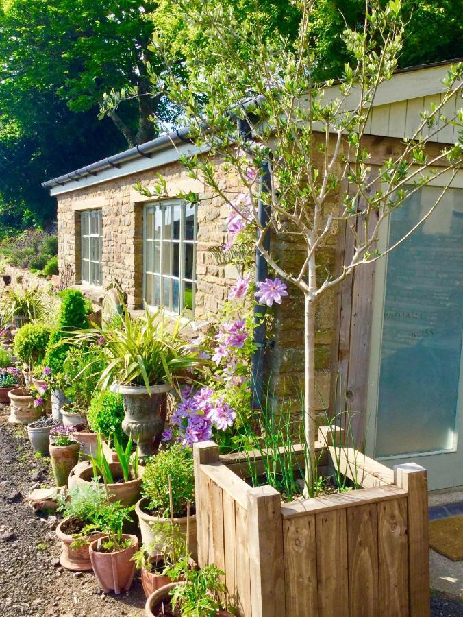 Lavender Cottage Глостър Екстериор снимка