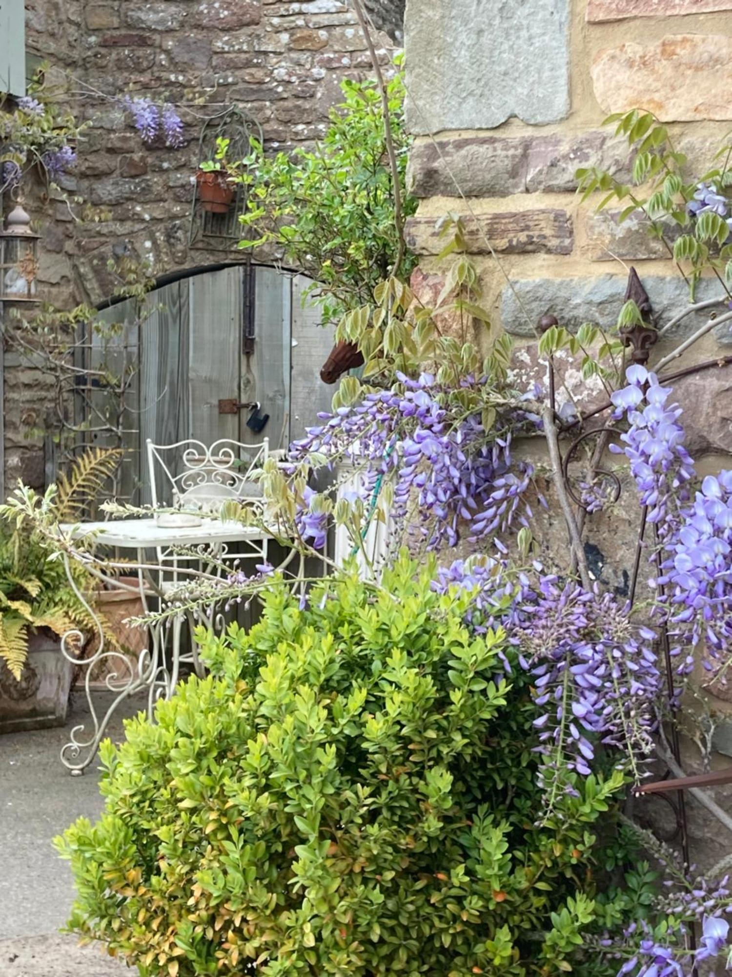 Lavender Cottage Глостър Екстериор снимка