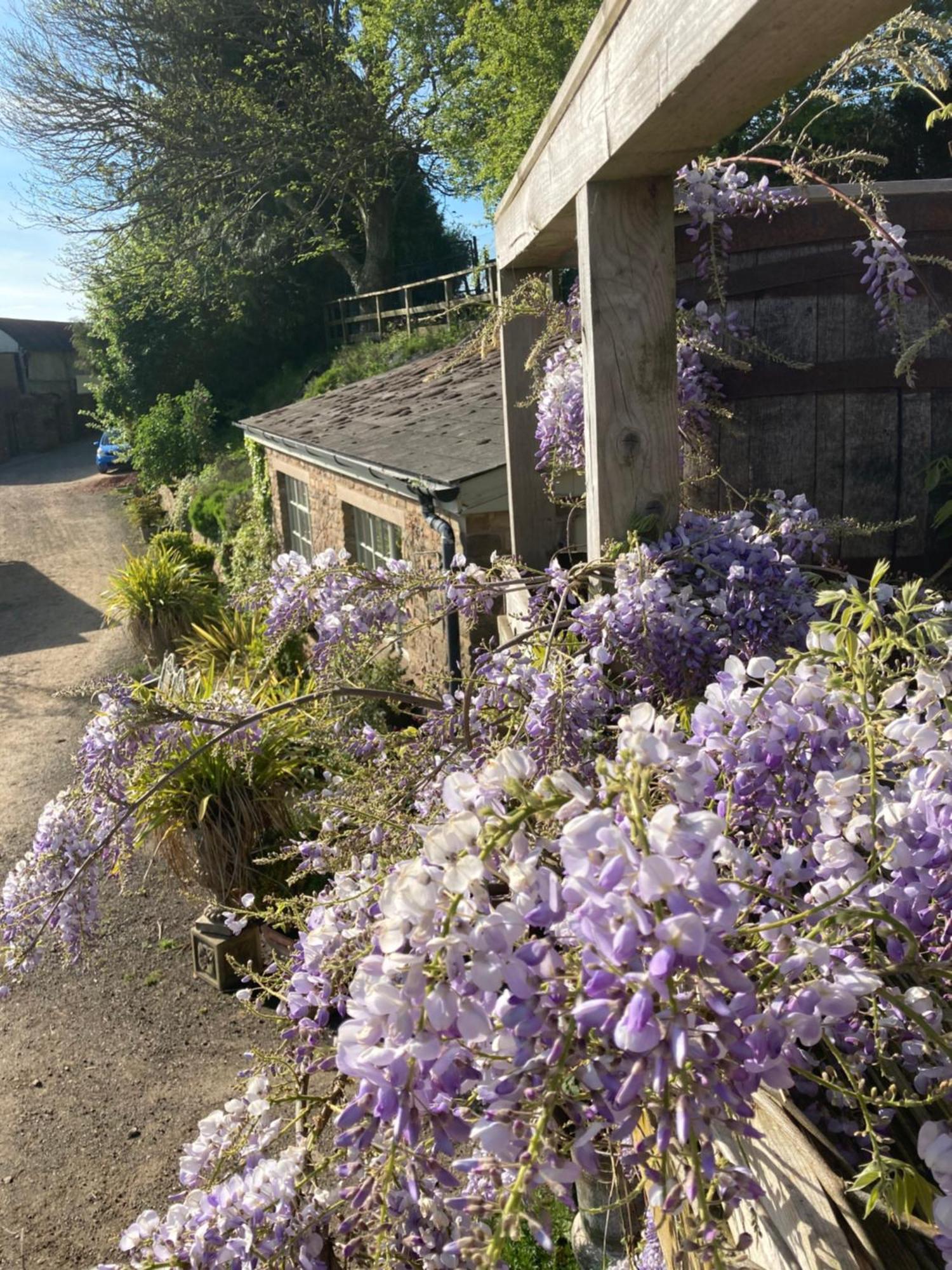 Lavender Cottage Глостър Екстериор снимка